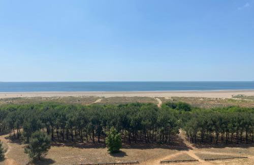 Charmant T2 rénové avec balcon et parking, accès direct plage - Saint Brevin - FR-1-364-115 - Foto 11