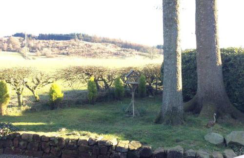 Heron Lodge, edge of Mabie Forest Dumfries - Photo 22