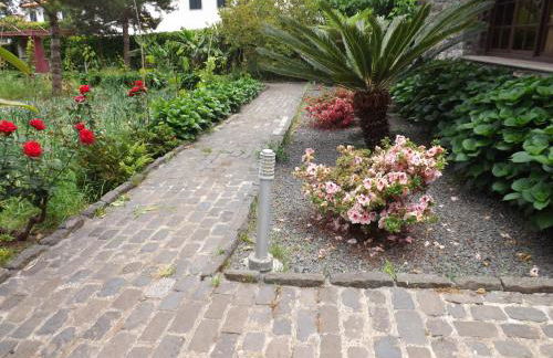 Solar Arco de São Jorge - Foto 30