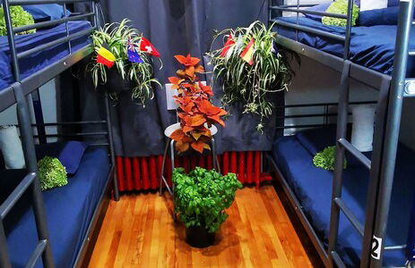 Pied-A-Terre Mont-Royal - Foto 6