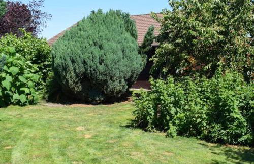 Kranich-Holzferienhaus 'Kleine Auszeit' - Foto 28