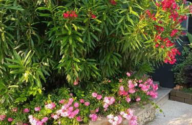 Apartament Nadine - Foto 23