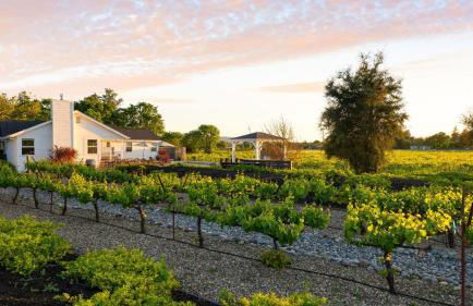 Chic Sonoma Oasis w Pool Bocce Hot Tub Minutes to Downtown - Foto 39