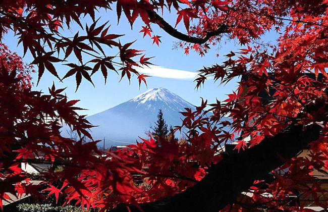 Lake Villa Kawaguchiko - Photo 38