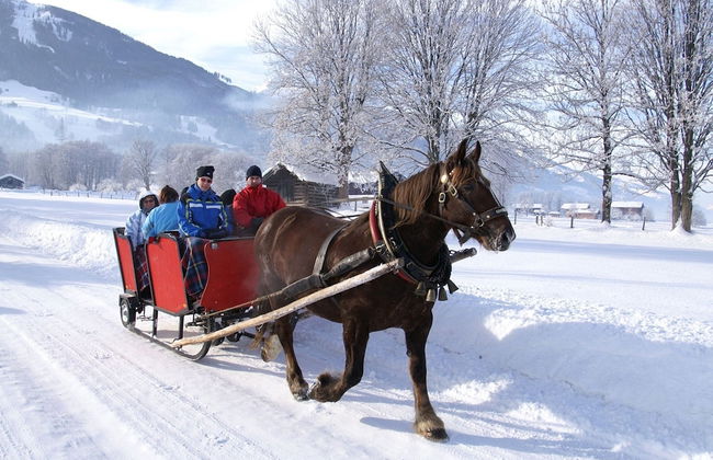 Cozy Apartment in Piesendorf - Foto 21
