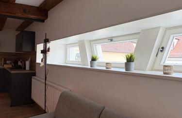 Apartmenthaus Alte Scheune Gunzenhausen - Foto 79