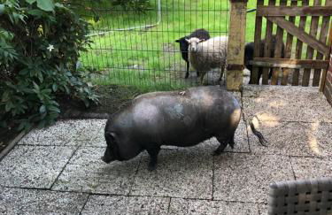 FEWO Elbe Weser - Foto 23