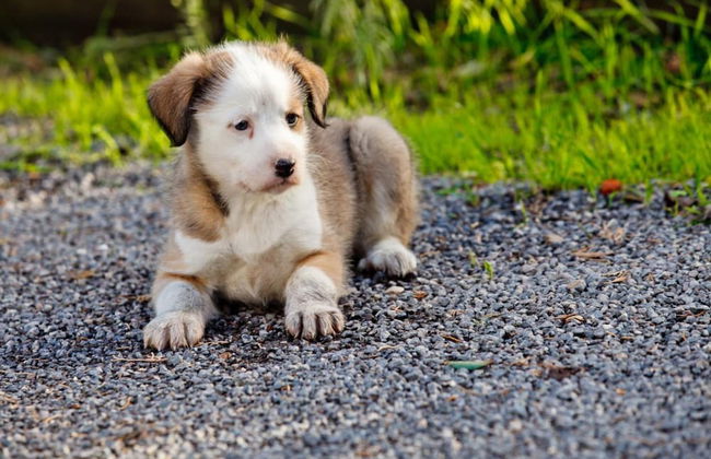 Agriturismo Archelao - Photo 36