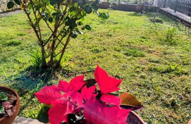 Il Nido di Pavona - Foto 19