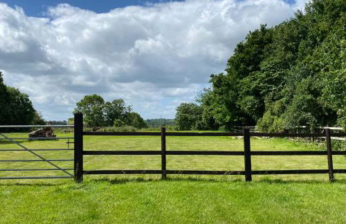 The Nursery - Foto 13