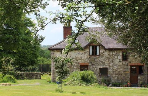 David's Organic Farm Wales - Foto 1