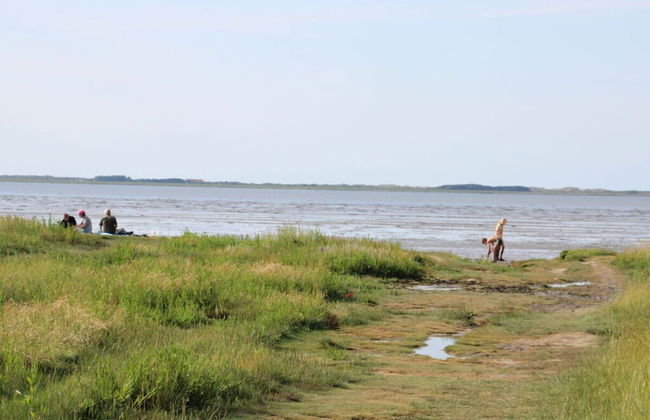 Orangery Berum Modern Retreat - Foto 13