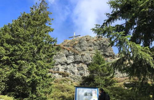 Villa in Bayern nahe Skiloipen & Sauna - Photo 72