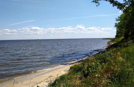 Villa Aurea - Foto 67