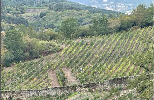 Casa do Olival - Foto 6