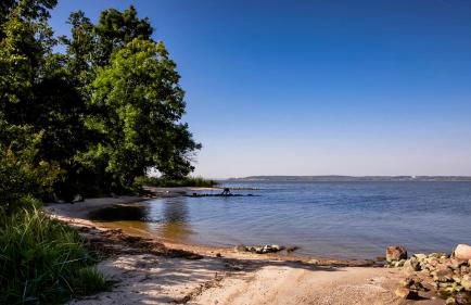 Ferienhaus Flieder - Foto 23