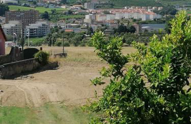 Vivenda Oliveira - Alojamento Local - Photo 38