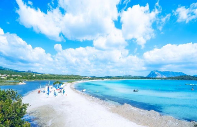 Apartment in Sos Alinos Near Sardinian Beaches - Photo 32