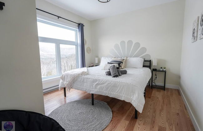 Le Sherpa -spa Billard et acc s au lac - Foto 80