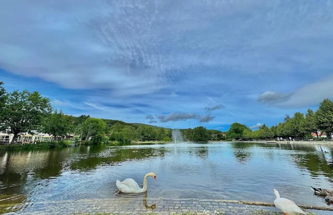 Classic Holiday Home in Harz near Braunlage Ski Area - Foto 17