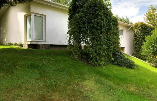 Casa do Galo / Galo House - Foto 7