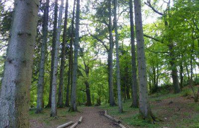 Troutbeck 12 - Photo 28