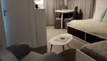 Les cigognes - Foto 3