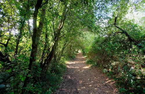 Tenuta Sant'Andrea - Foto 34