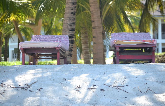 Shamba La Salama - Foto 16