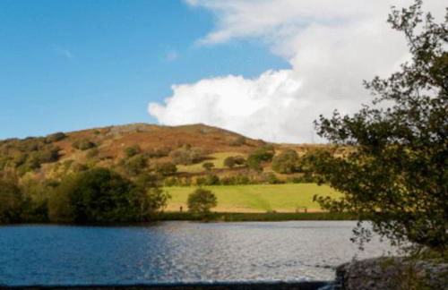 Rose Cottage Trecynon Traditional 2 bed cottage Zip World Beacons Bike - Photo 36