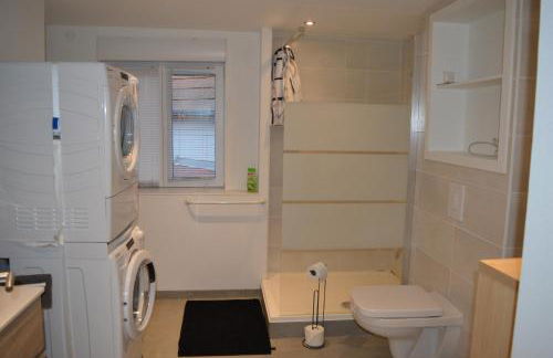 Juste un rayon de soleil Maison 6 personnes Alsace Centrale Proche Europa-park - Foto 32