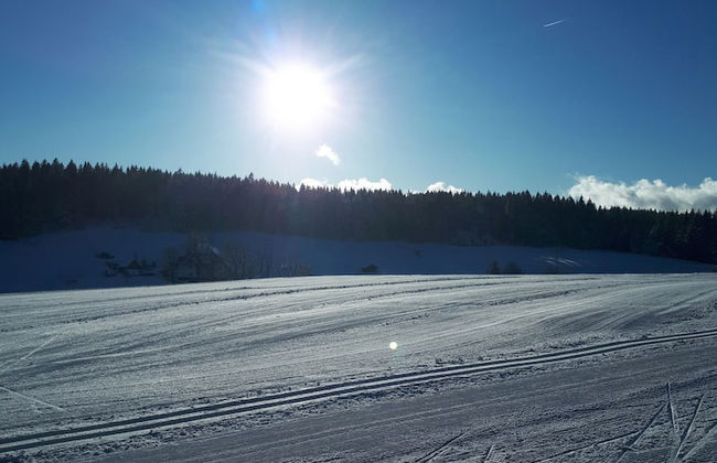 Apartment Monolith Black Forest - Foto 37