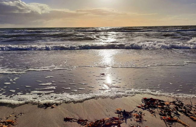 Simplistic Holiday Home in GÃ¸rlev near Sea - Photo 52