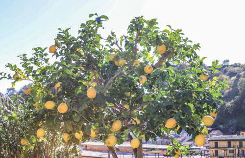 Antica Cantina Emilia - Foto 106