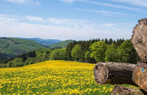 Ferienwohnung Zur Basemicke - Foto 25