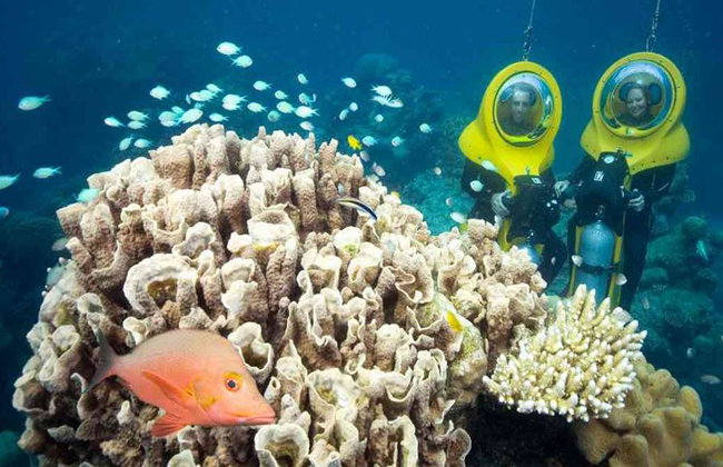 Scubadoo Experience - Foto 1