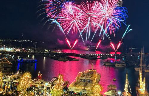 Appartement Sanary vue mer au calme - Foto 37