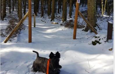 Nationalpark Ferienhaus SOPHIA-LUISA - Foto 29