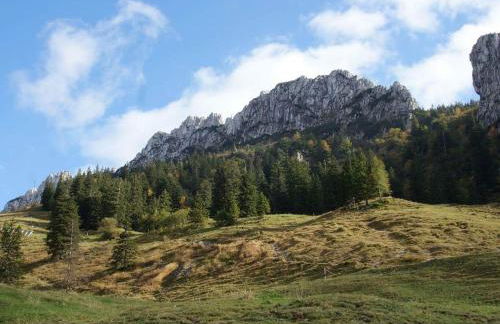 Adersberger Annemarie - Ferienwohnung - Foto 8