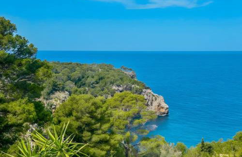 Vinya del mar - Foto 32