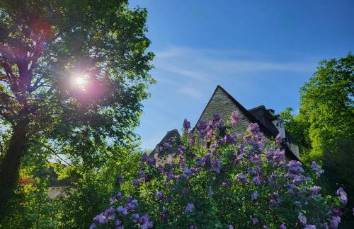 Domaine de Bagnegrole - Foto 67