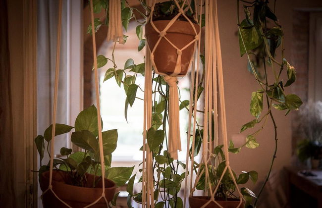 Agricola casa cucina bottega - Photo 37