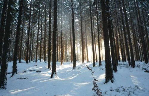 Ferienhaus Jägerhaus Oppach Alleinlage mit See - Foto 64