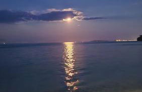 Corfu Paloma Apartments - Foto 31