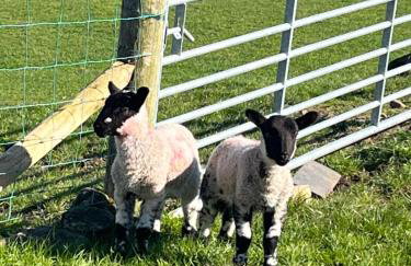 Sea View Farmhouse - Foto 68