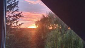 Haus Müritz, 14 Roter Milan - Foto 5