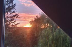 Haus Müritz, 14 Roter Milan - Foto 5