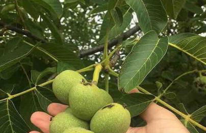 Casa do Vale-Villa with private pool and garden - Foto 61