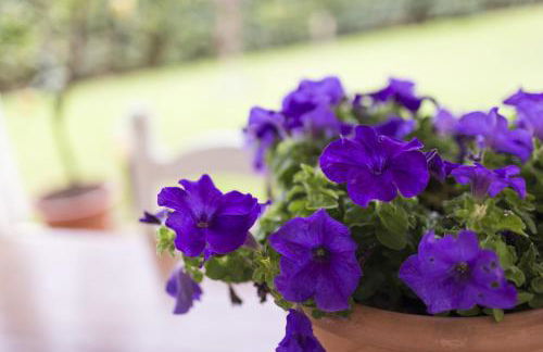 B&B Cava Rossa - Foto 22