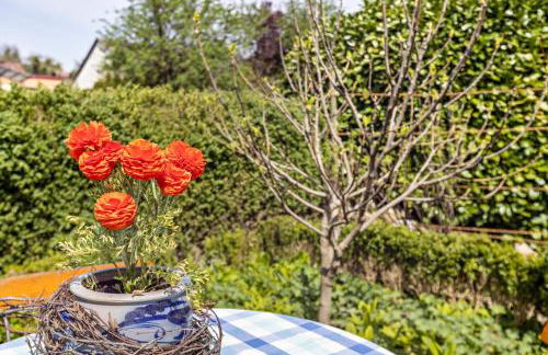 Ferienwohnung Alina - Foto 23